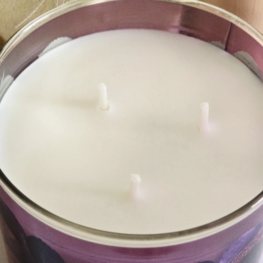 Dark Kiss 3 Wick Candle by Bath and Body Works